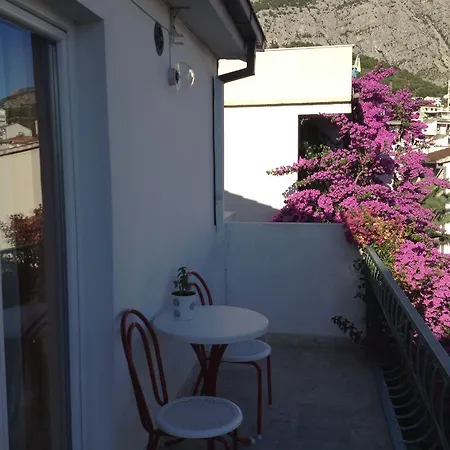 Smiljka Makarska